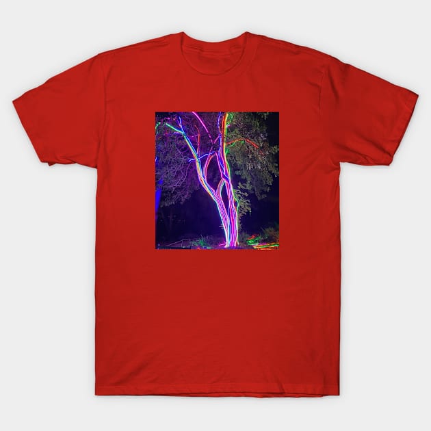 Botanical Garden Lights, San Diego T-Shirt by johnnie2749